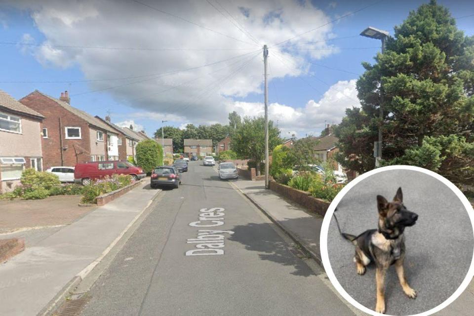 Dalby Crescent in Blackburn. Inset is police dog, Hulk. <i>(Image: Blackburn and Darwen Police)</i>