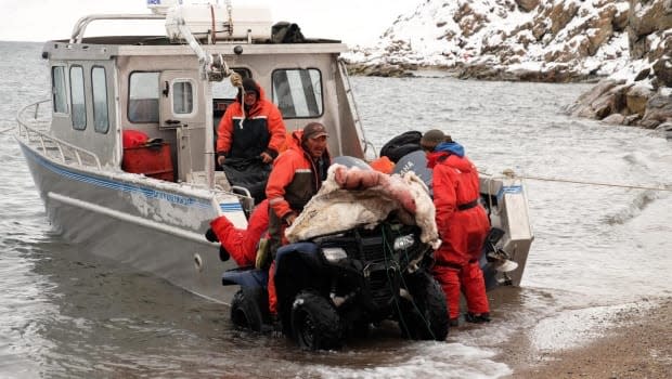 Hunters in Pond Inlet, Nunavut, off load a boat following a successful caribou hunt in October 2015. The government of Nunavut says the Baffinland Phase 2 proposal has pitted jobs against the environment. But it's about quality of life for all Nunavummiut.