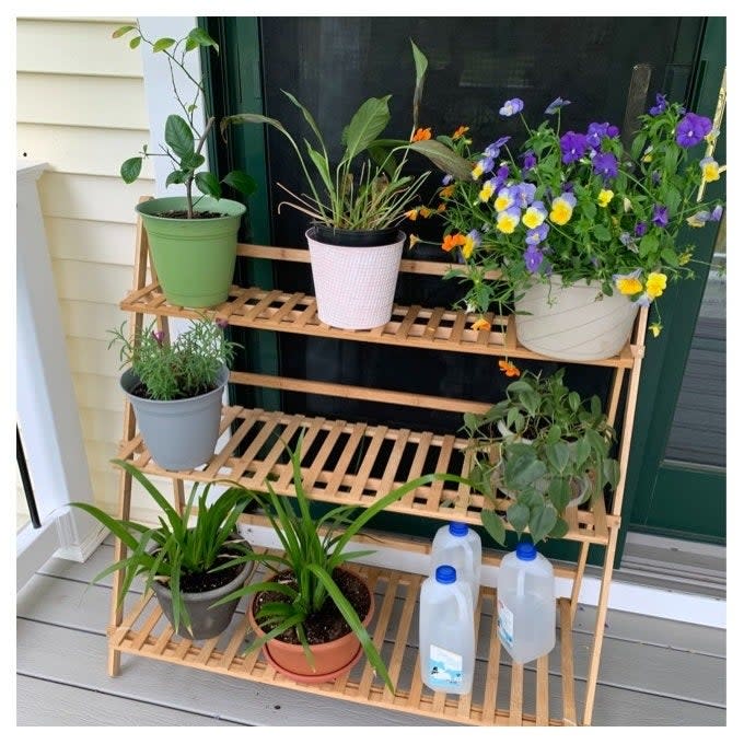 Wooden plant stand with various potted plants and water jugs on a porch, for outdoor decor inspiration