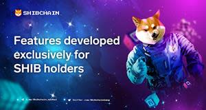 Shibchain - Optimal development of NFT, GameFi, and DeFi for users in the SHIB ecosystem