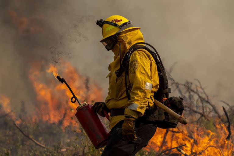Un bombero usa una antorcha de goteo para encender un fuego contraproducente en Oak Fire cerca de Mariposa