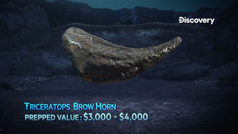 恐龍化石挖寶人－三角龍前角化石市值美金3000起跳（圖／Discovery提供）