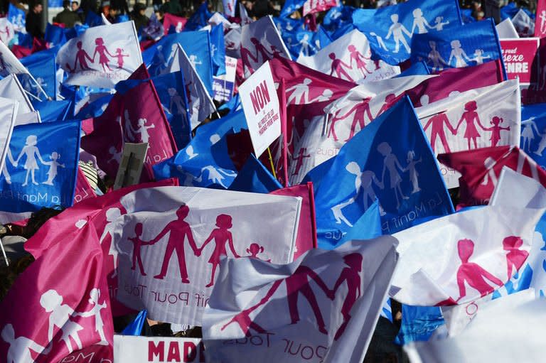 Flags reading "Demo for all" are seen during a protest against same-sex marriage on February 2, 2013 in Marseille, southern France. France's National Assembly overwhelmingly approved a key piece of legislation that will allow homosexual couples to marry and adopt children, to the delight of gay activists