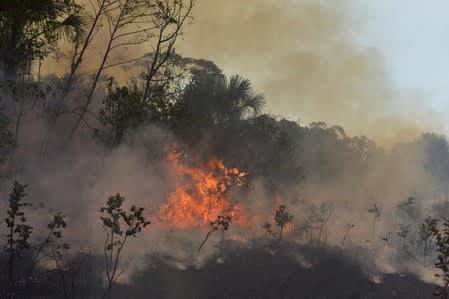 FILE PHOTO: A fire burns a tract of the Amazon jungle in Agua Boa