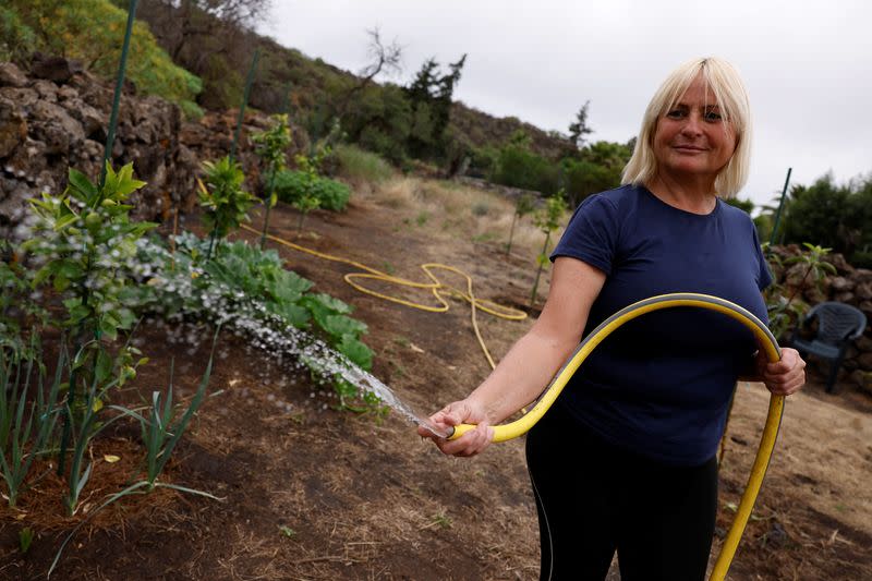 Dutch Karin Bansgerg, 57, waters the trees on the land she has bought to build her new house with the aid given to her by the government after losing her house because of the Tajogaite volcano eruption on La Palma