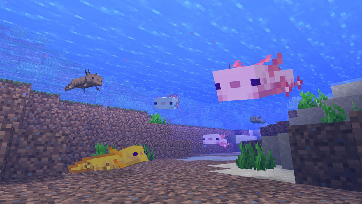  Minecraft 1.17 axolotl. 