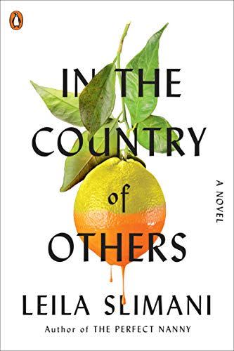 In the Country of Others: A Novel