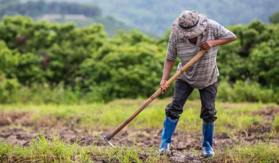 Agro en Colombia