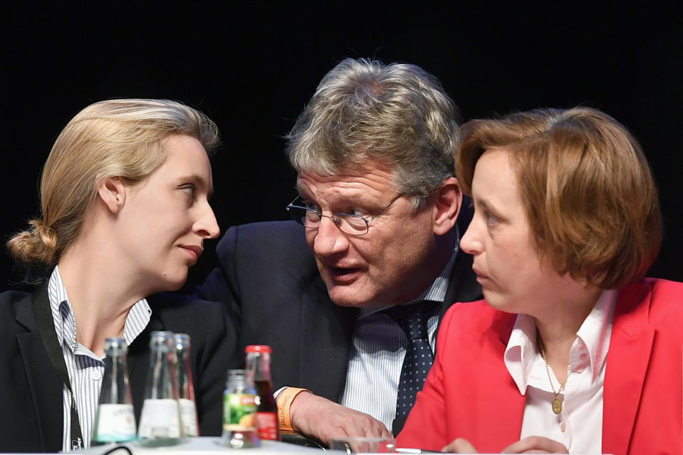 Auch in den Landkreisen abseits der Bundesspitze um Jörg Meuthen, Alice Weidel und Beatrix von Storch stolpert die AfD von einem Eigentor zum nächsten. (Bild: AP Photo)