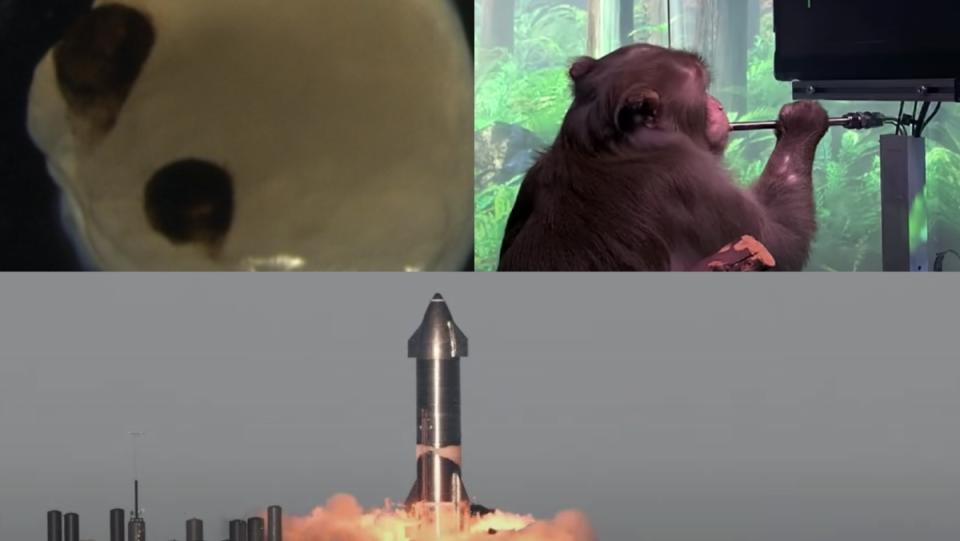 split image of monkey using computer, rocket, and organoid eyeballs for best of science and tech 2021