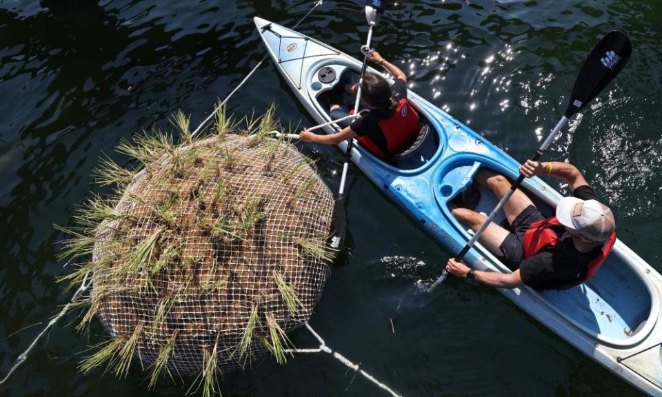 In a kayak, Louiza Wise, left, an ecological engineer, and Tyler McCormack, right, a graduate student, work to tie down the 