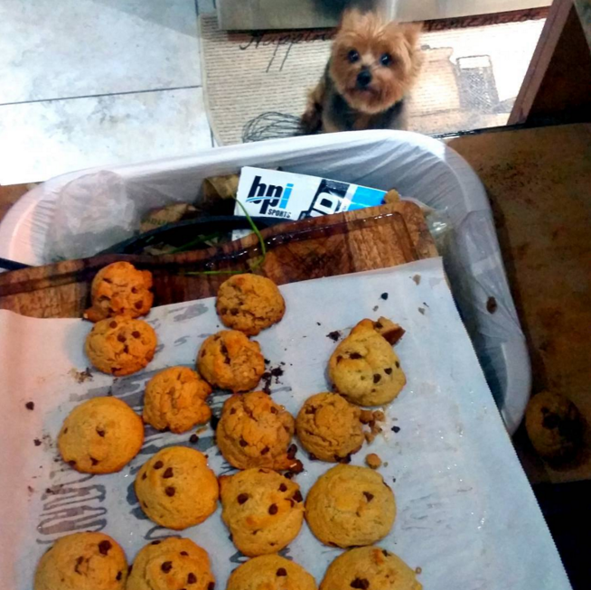 Chocolate Chip Cookies