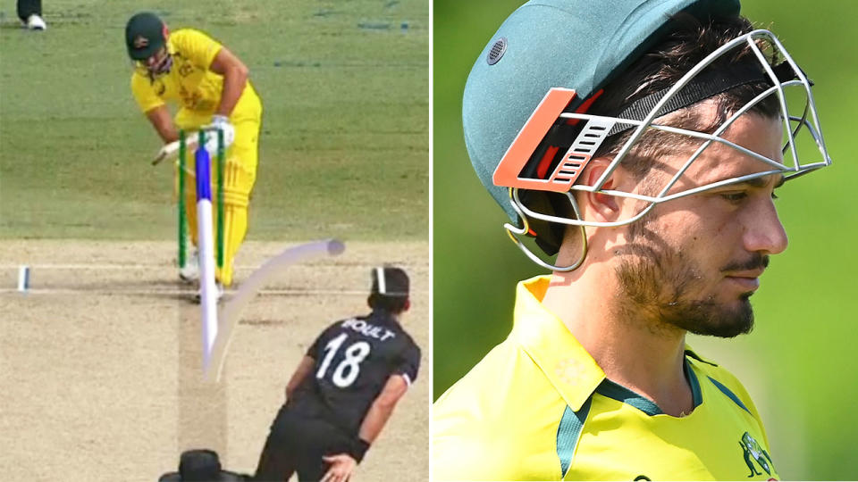 Marcus Stoinis was guilty of a truly horrible review in the second ODI against New Zealand in Cairns. Pic: Fox Sports/Getty