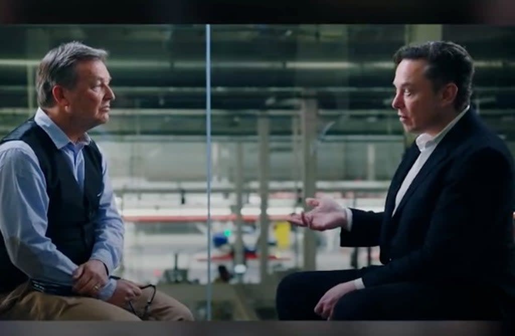 TED curator and Tesla boss Elon Musk  (Twitter/TED)