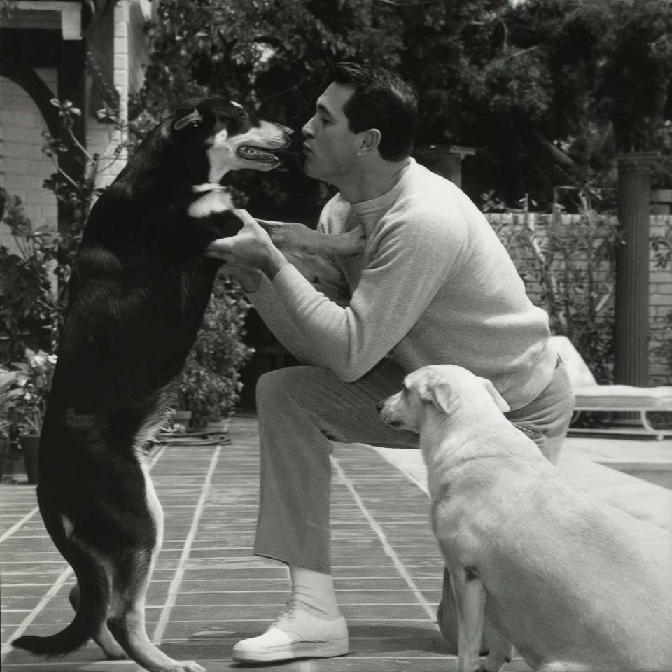 Rock Hudson at home with one of his many beloved dogs - Rock Hudson: All That Heaven Allowed. (Universal Pictures)