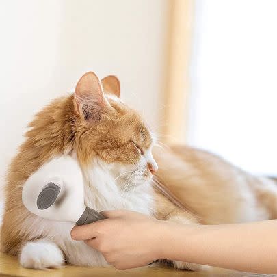 This self cleaning pet brush