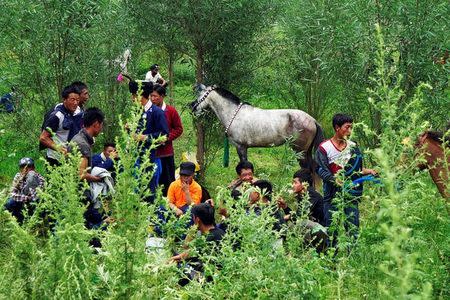 People from Yi ethnic minority group wait outside stadium where horse racing events will take place during the Torch Festival in Butuo County, Sichuan province, China July 21, 2017. REUTERS/Natalie Thomas