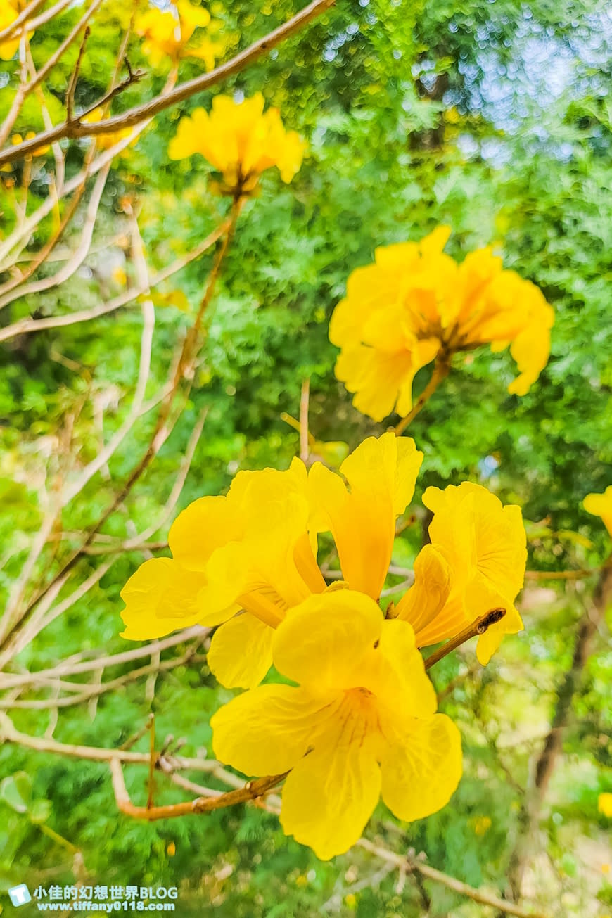 新竹峨眉親子一日遊