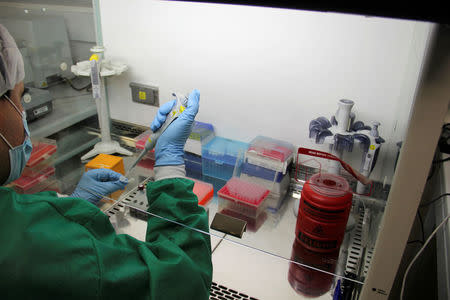 A forensic doctor examines DNA samples in the lab of the Attorney-General's office in Bogota, Colombia, October 31, 2017. REUTERS/Julia Symmes Cobb