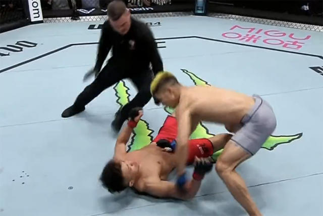 Five Most Brutal One Punch Knockouts In UFC History