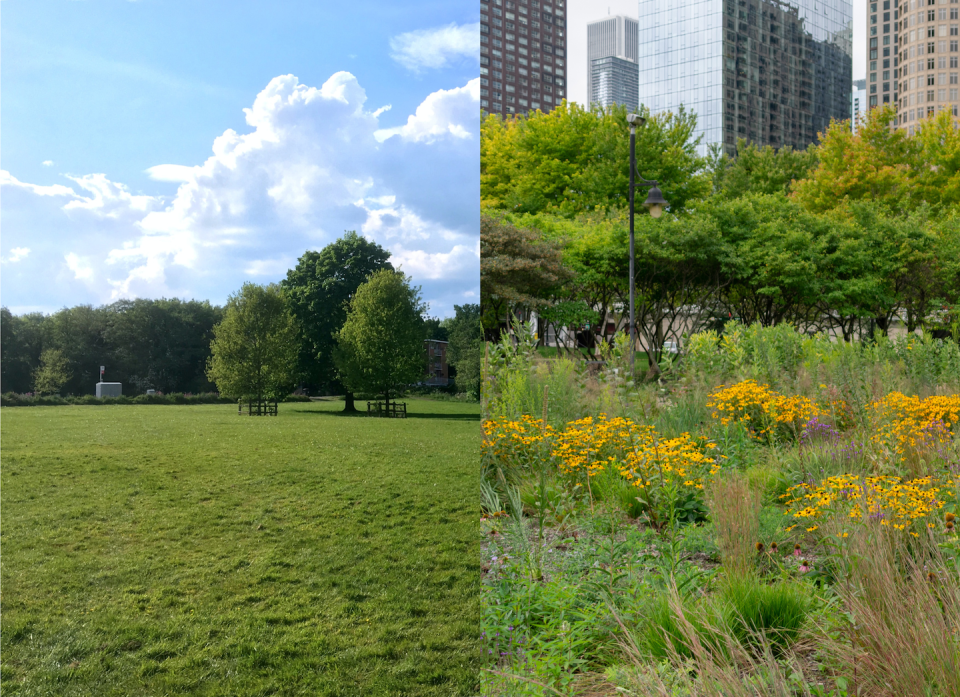 On the left is a lawn (Stephen Cobb/Unsplash) and on the right is a native plant garden in Streeterville, Chicago (Shutterstock).