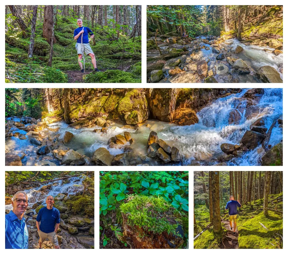 Collage of the nature of Skagway including Brent on a hiking trail, streams, and waterfalls