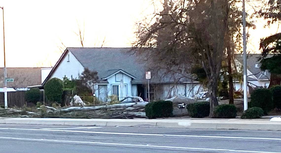 A large tree was knocked down Tuesday evening on the roadway of Polk Avenue near Richert in northwest Fresno. Gusty winds were in the forecast for Fresno Anthony Galaviz/agalaviz@fresnobee.com