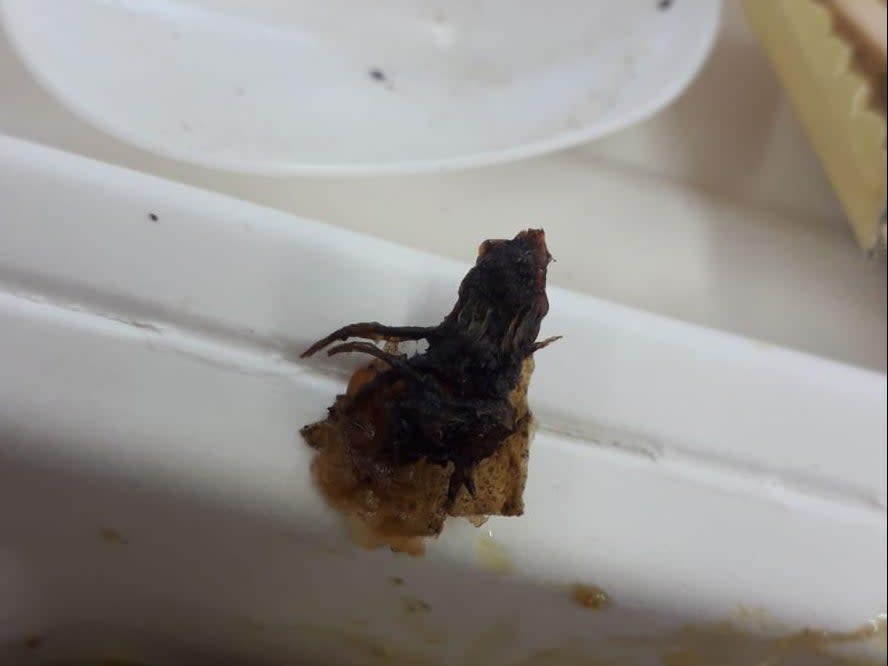 Asylum seekers at the Penally camp in Pembrokeshire, Wales, said they found what they believe to be a partially fried insect in a meal served on-site. The Home Office has said workers at the camp determined the object to be a vegetable. The incident comes as asylum seekers continue to sound the alarm about the food and conditions at the camp.