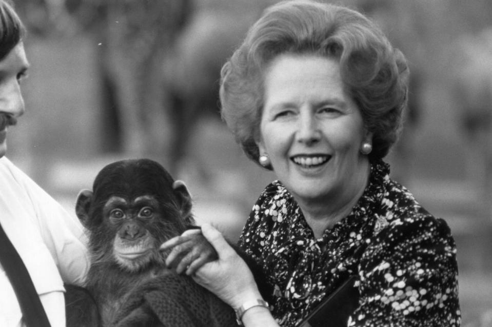 Margaret Thatcher war die erste Frau in England, die zur Premierministerin gewählt wurde. Kein Wunder, wenn man sich so geschickt mit einem zuckersüßen Schimpansen zeigt. (Bild: Hulton Archive/Getty Images)