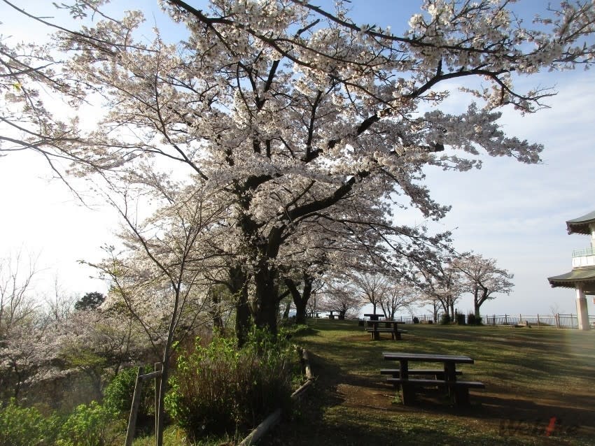 20190409_kasori_04