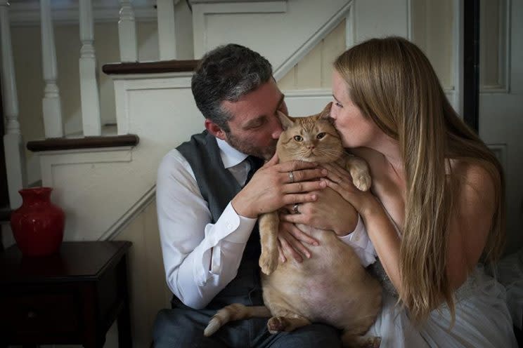 A couple includes their recently adopted 35-pound cat in wedding photos. (Photo: www.kristiodomfineart.com)