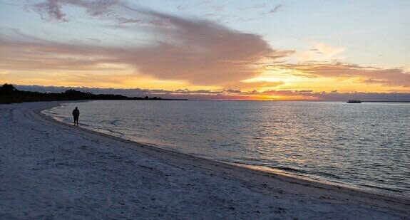 The idyllic Fort Myers Beach in Big Carlos Pass, Florida where the dolphin was found. Source: Getty stock