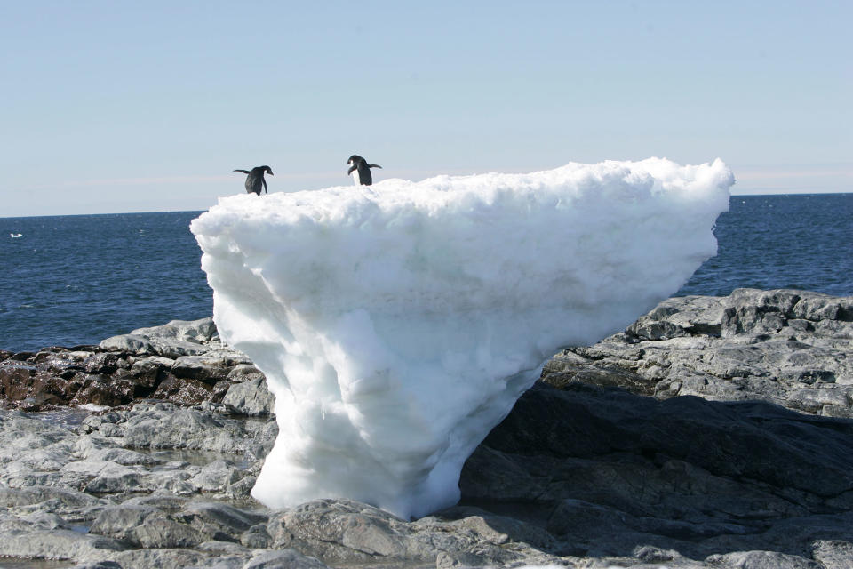 <p>Adelie penguins stand atop a block of melting ice on a rocky shoreline at Cape Denison, Commonwealth Bay, in East Antarctica, Jan. 1, 2010. (Photo: Pauline Askin/Reuters) </p>