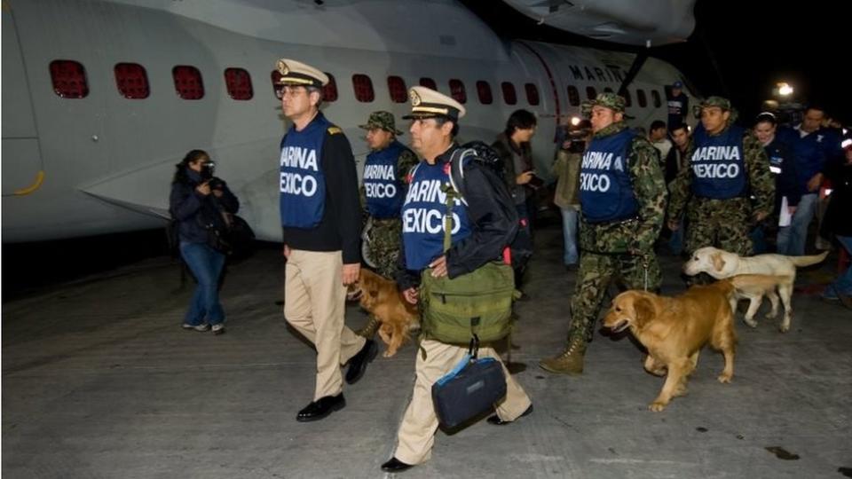 La unidad canina de la Marina mexicana a punto de tomar un vuelo a Haití en 2010.
