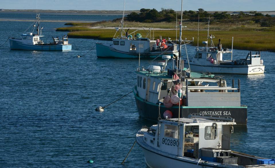 The Chatham fishing fleet faces into a north wind on their moorings off the fish pier on a blustery mid-October morning. The Cape Cod Commercial Fishermen's Alliance, based in Chatham, is supporting a new initiative to keep midwater trawlers farther from shore.