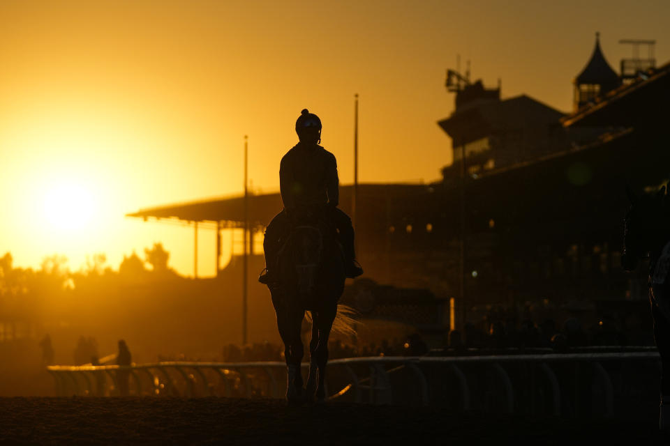 A horse walks on the track during a morning workout ahead of the Breeders' Cup horse races Thursday, Nov. 2, 2023, in Arcadia, Calif. (AP Photo/Ashley Landis)