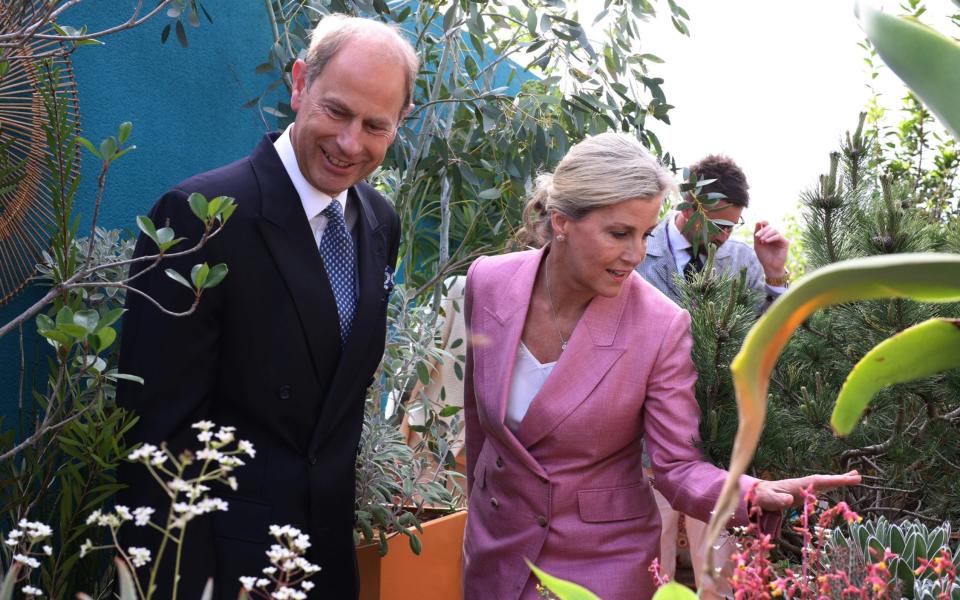 The Earl and Countess of Wessex visit the Chelsea Flower Show - Dan Kitwood/Getty Images