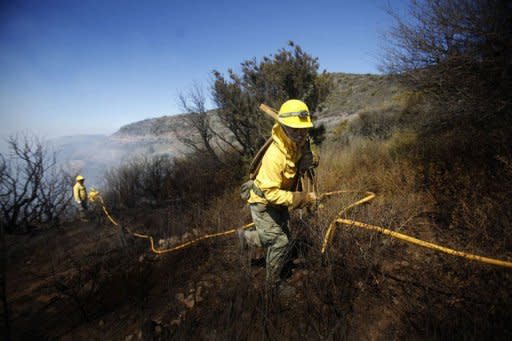 Members of the Forest Brigade are deployed to fight a fire on the Erque ravine in the town of Vallehermoso on the Spanish Canary island of La Palma