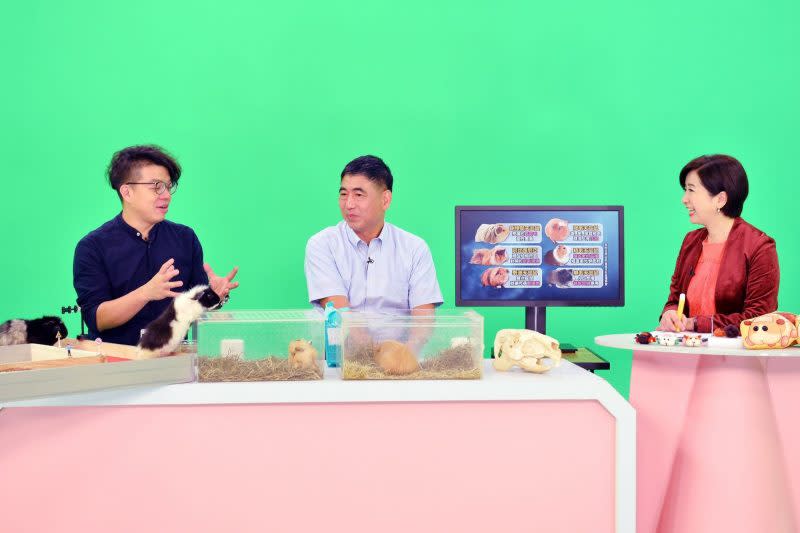 生態講師蝌蚪老師呂軍逸（左）、前台北市立動物園園長金仕謙（中）上《T觀點》分享天竺鼠知識。（TVBS提供）