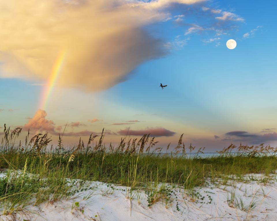 The Mississippi Gulf Coast can be a good substitute for popular beach destinations.