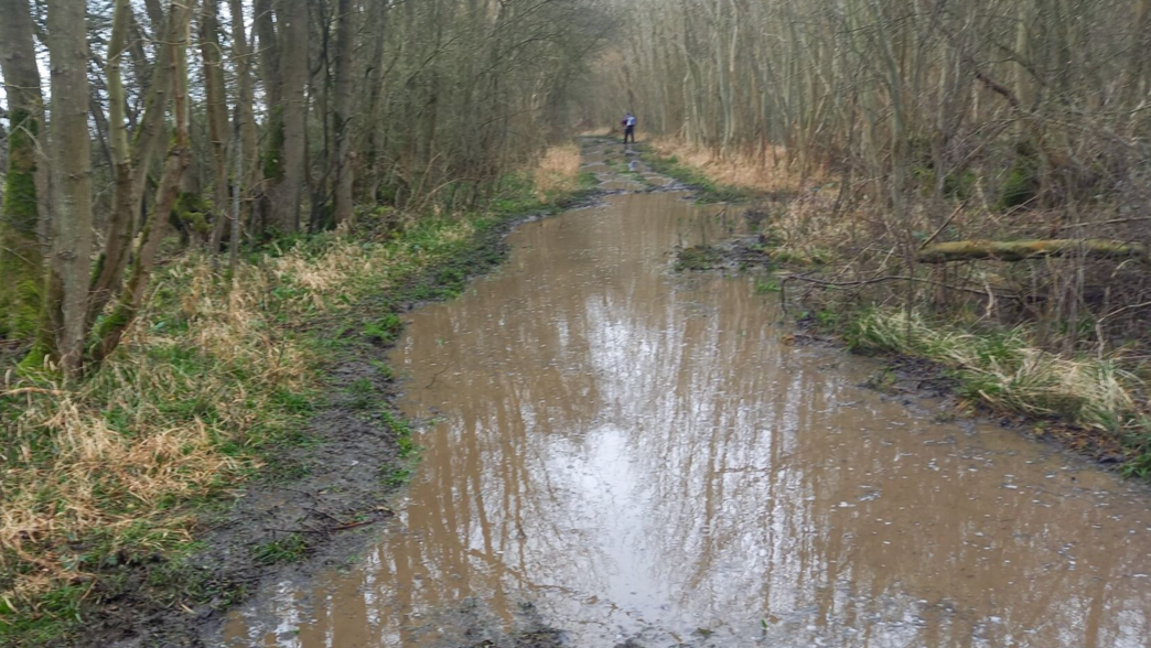 A flooded path in a nature reserve 