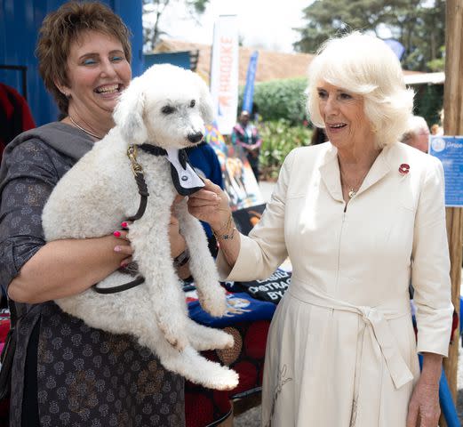 <p>Samir Hussein/WireImage</p> Queen Camilla meets a dog during royal tour of Kenya on Nov. 1, 2023