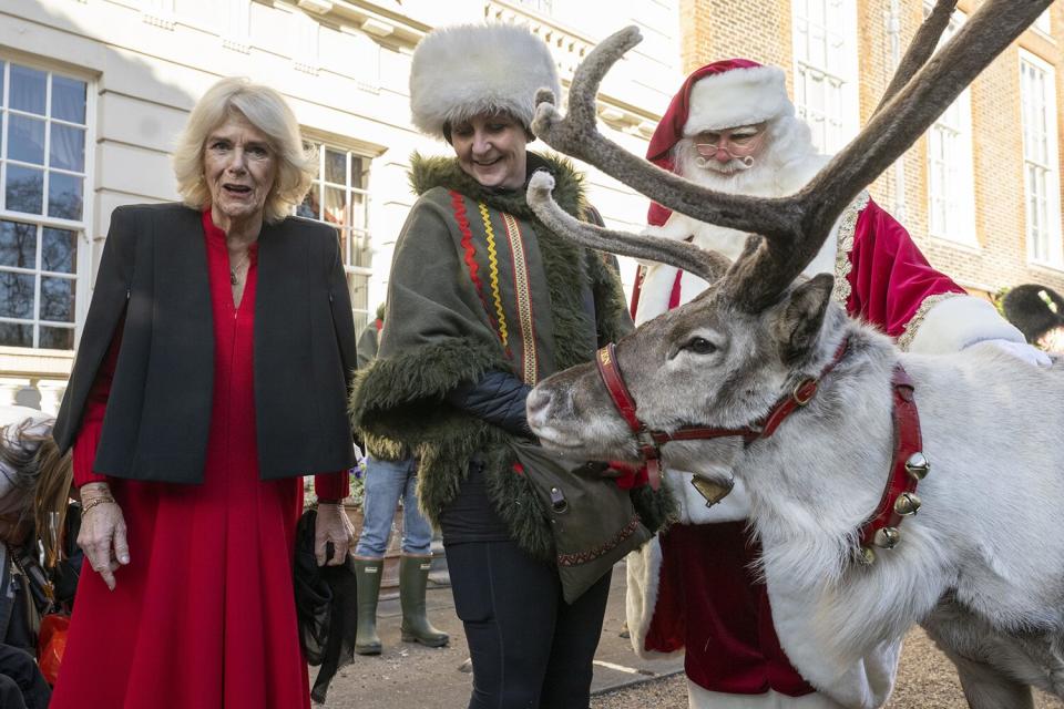 Camilla the Queen with Blixen the reindeer as children decorate the Christmas tree at Clarence House in London, supported by Helen and Douglas House and Roald Dahl's Marvellous Children's Charity