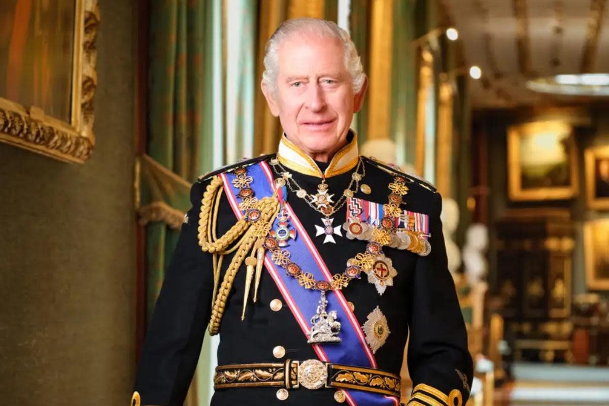 Official portrait of the King for displaying in official buildings <i>(Image: Hugo Burnand/Royal Household/Cabinet Office/PA)</i>