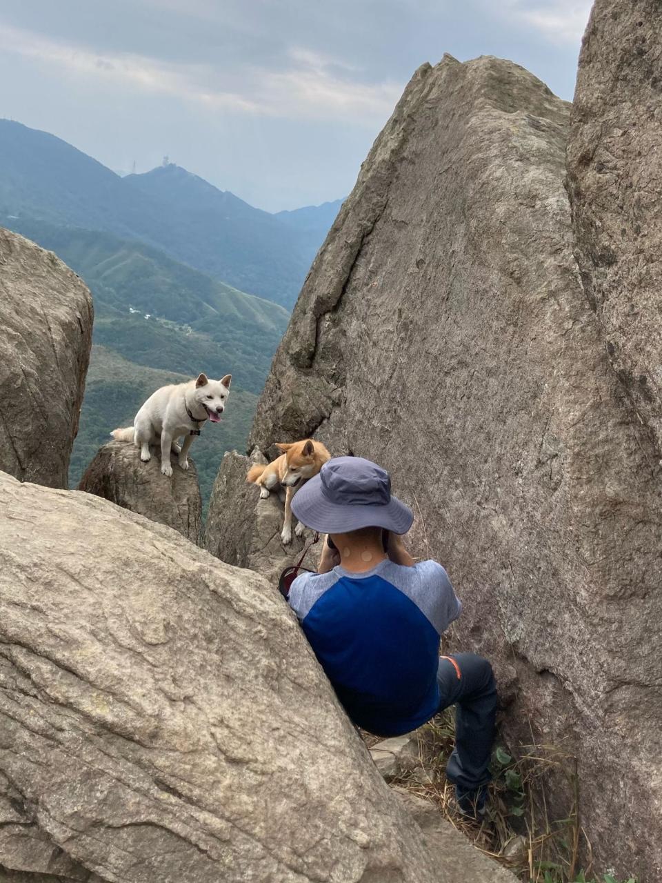 一名男子將兩隻狗放在極危險山石上拍照。