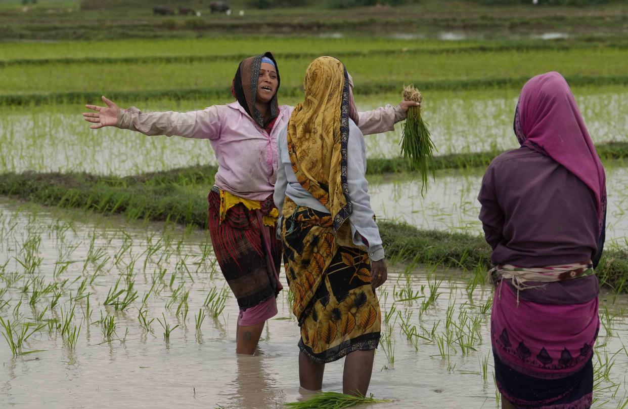 A farmer describes the scene when Khushboo Bind was killed by lightning in the adjacent paddy field on June 25, at Piparaon village on the outskirts of Prayagraj, in the northern Indian state of Uttar Pradesh, Thursday, July 28, 2022. Seven people, mostly farmers, were killed by lightning in a village in India's northern Uttar Pradesh state, police said Thursday, bringing the death toll by lightning to 49 people in the state this week. (AP Photo/Rajesh Kumar Singh)