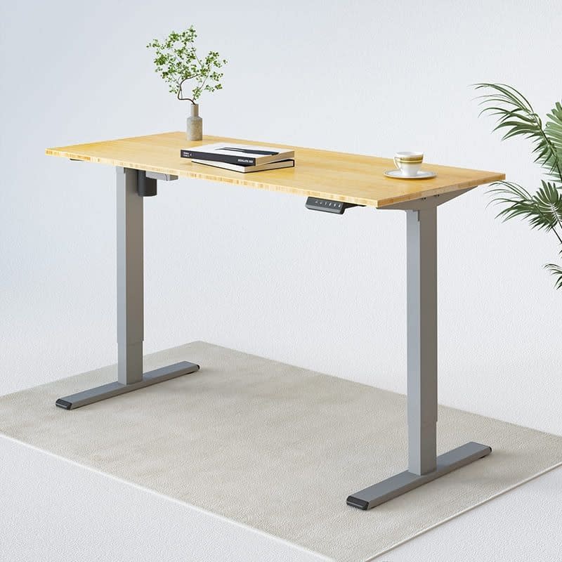 Flexispot E1 Pro Standing Desk