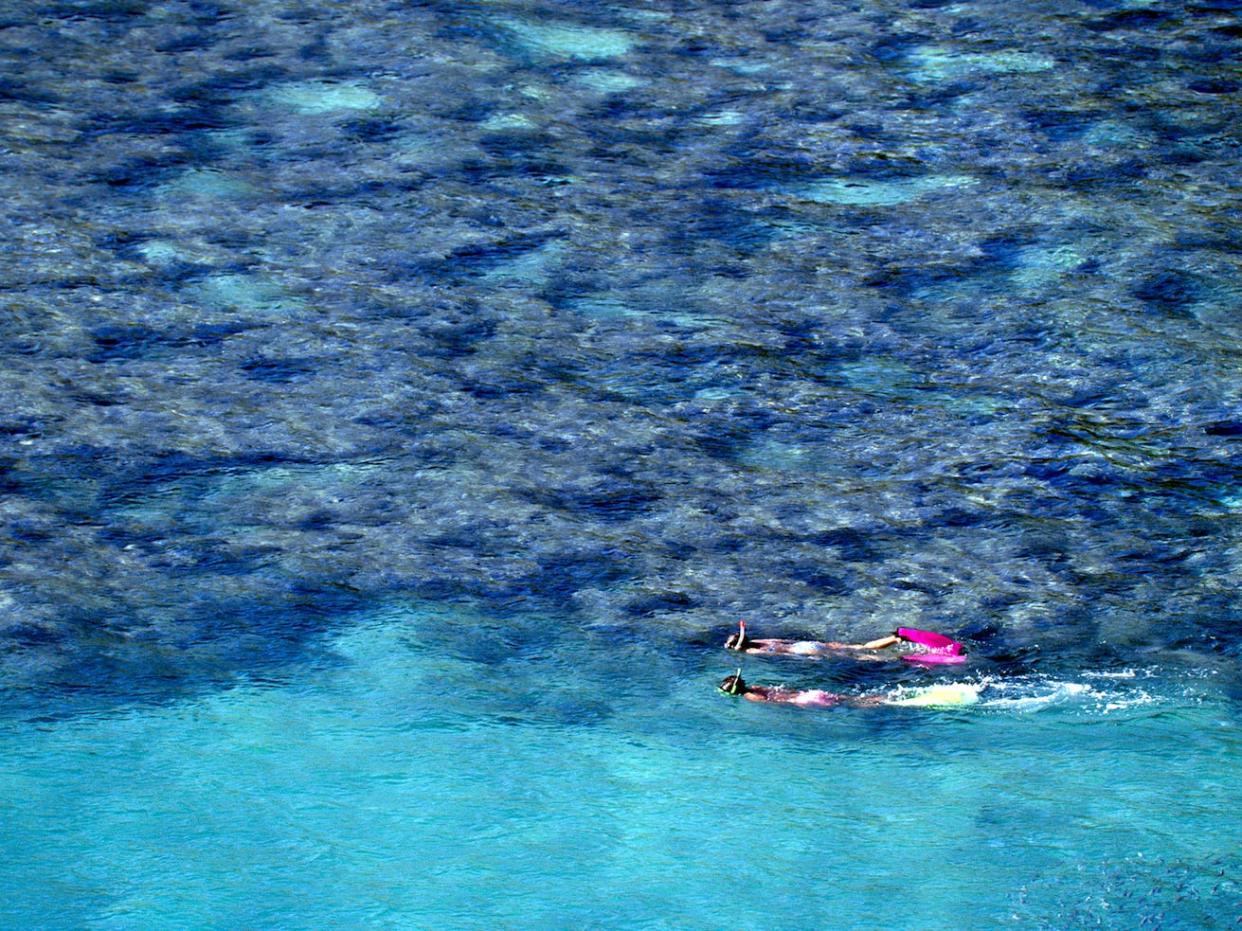 Snorkeling in Hawaii