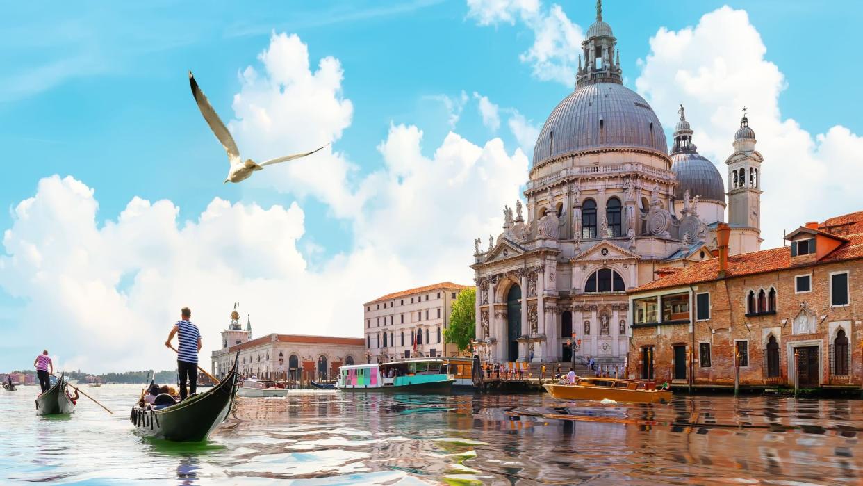 Venice and bird