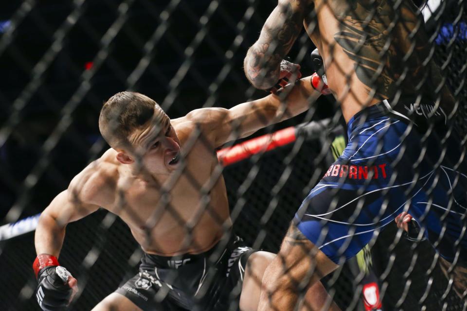 <span class="caption">The use of cages in MMA prevents fear from overwhelming audience members by acting like a protective barrier between the audience and the violence unfolding in front of them.</span> <span class="attribution"><span class="source">(AP Photo/Chase Stevens)</span></span>